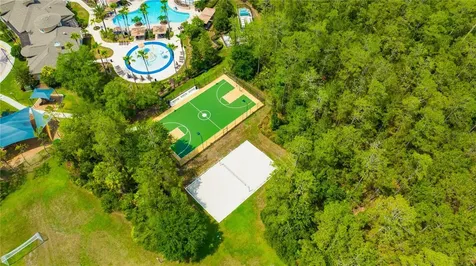 3707 Fawnmist Drive Wesley Chapel FL 33544