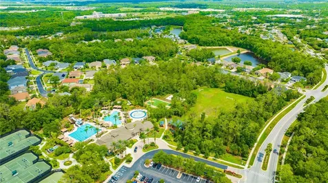 3707 Fawnmist Drive Wesley Chapel FL 33544