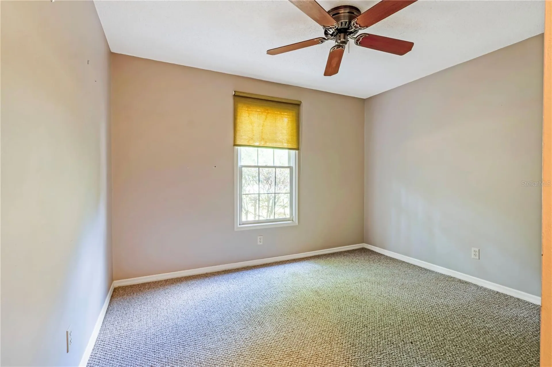 226 Crooked Tree Trail Deland FL 32724