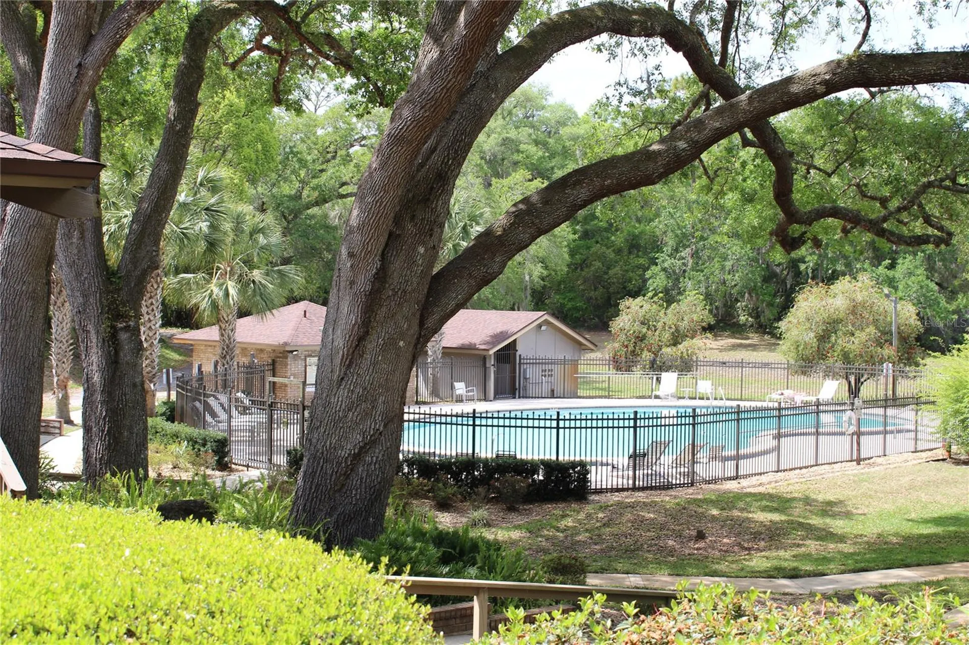 226 Crooked Tree Trail Deland FL 32724