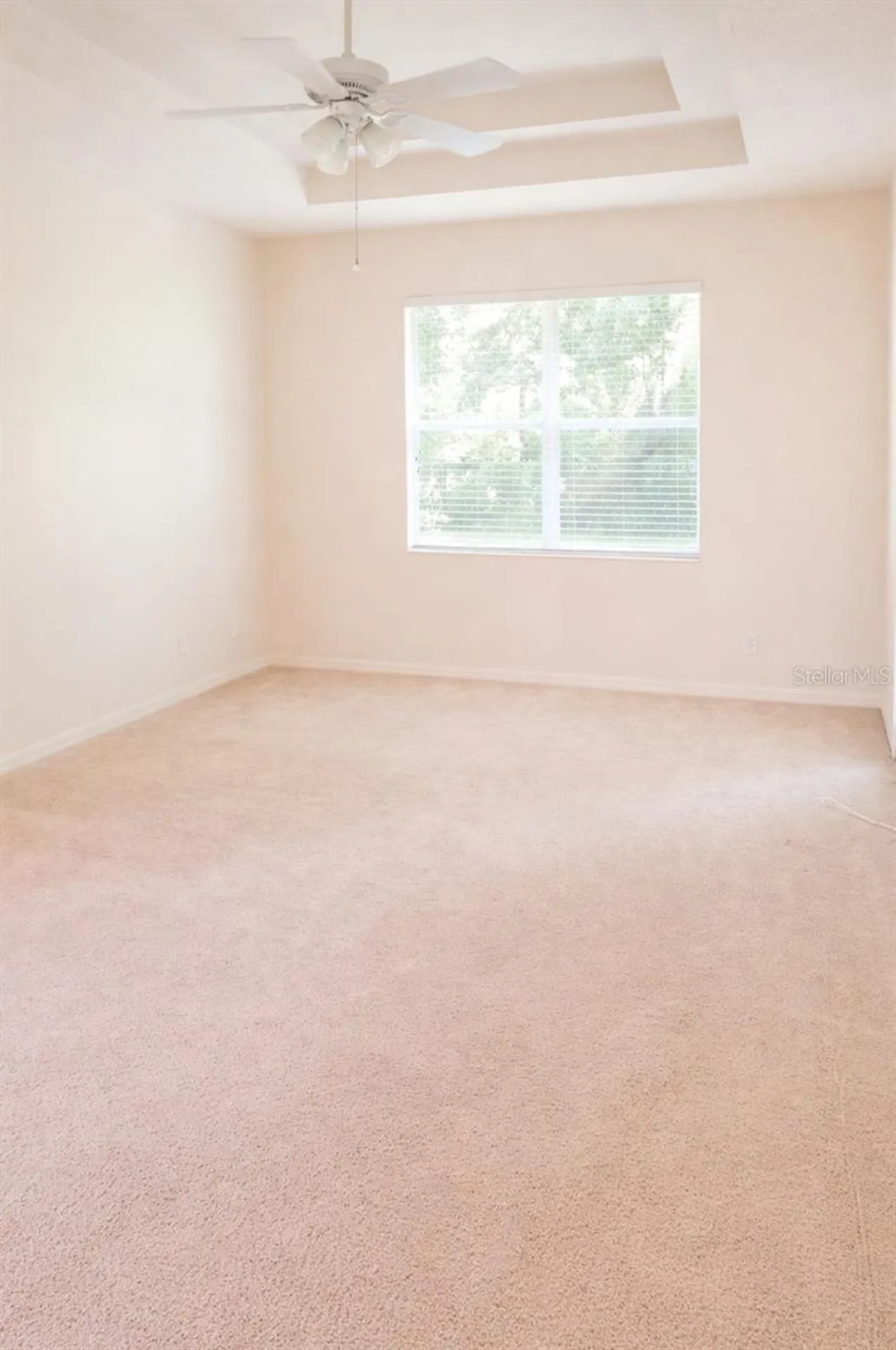 206 Ronja Lane Valrico FL 33594