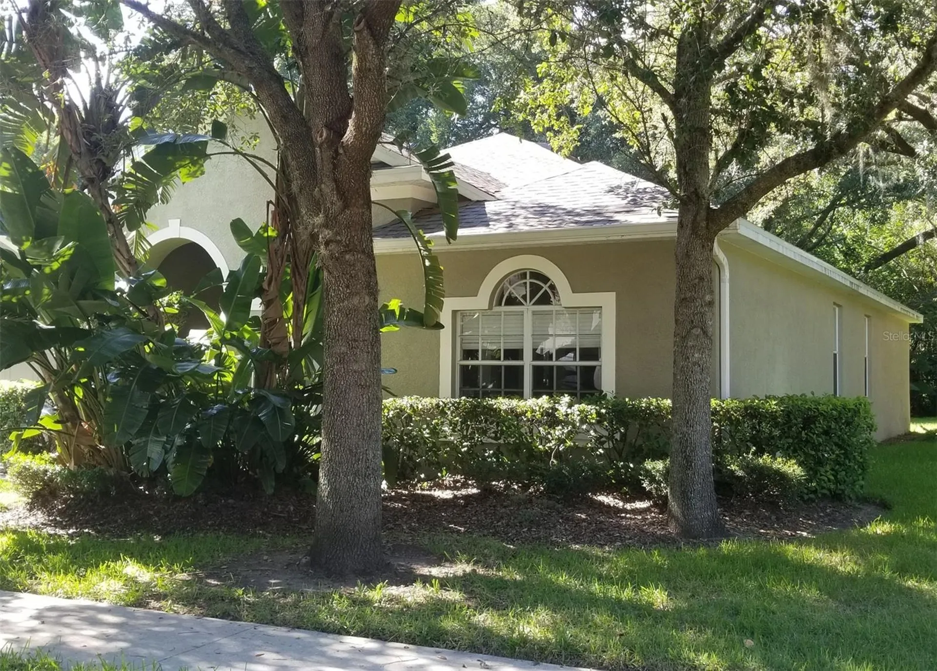 206 Ronja Lane Valrico FL 33594
