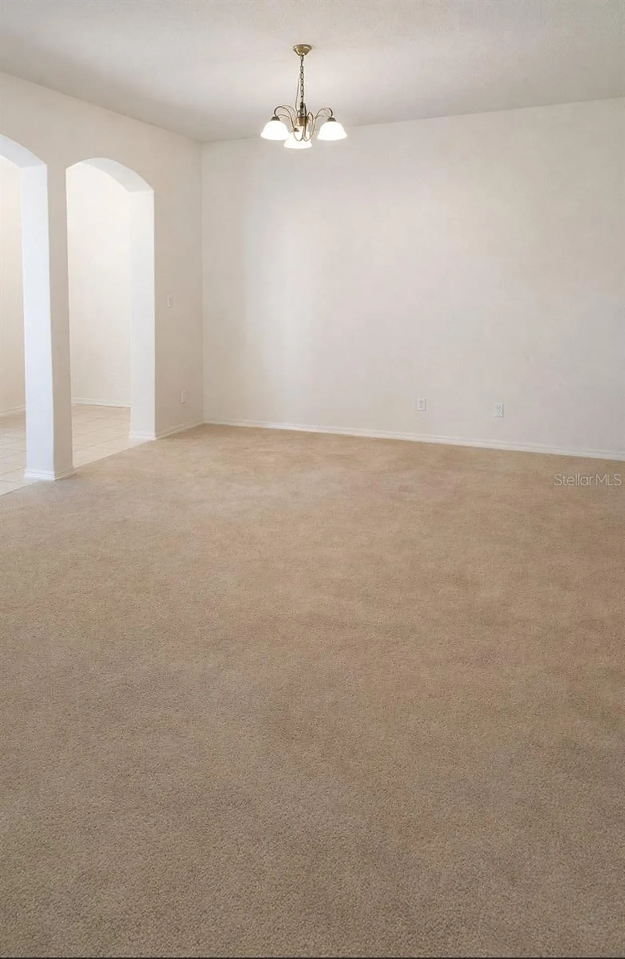 206 Ronja Lane Valrico FL 33594