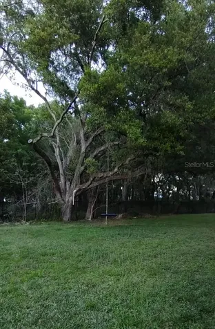 206 Ronja Lane Valrico FL 33594