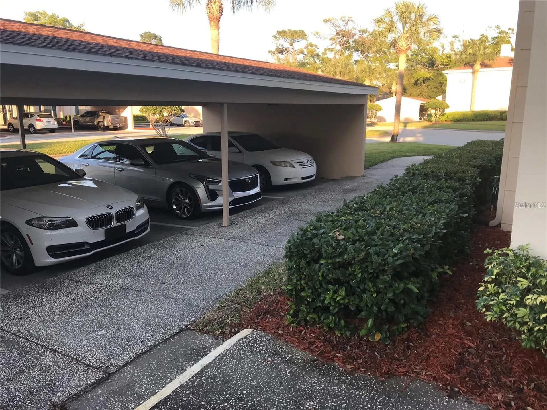 10380 Carrollwood Lane Tampa FL 33618
