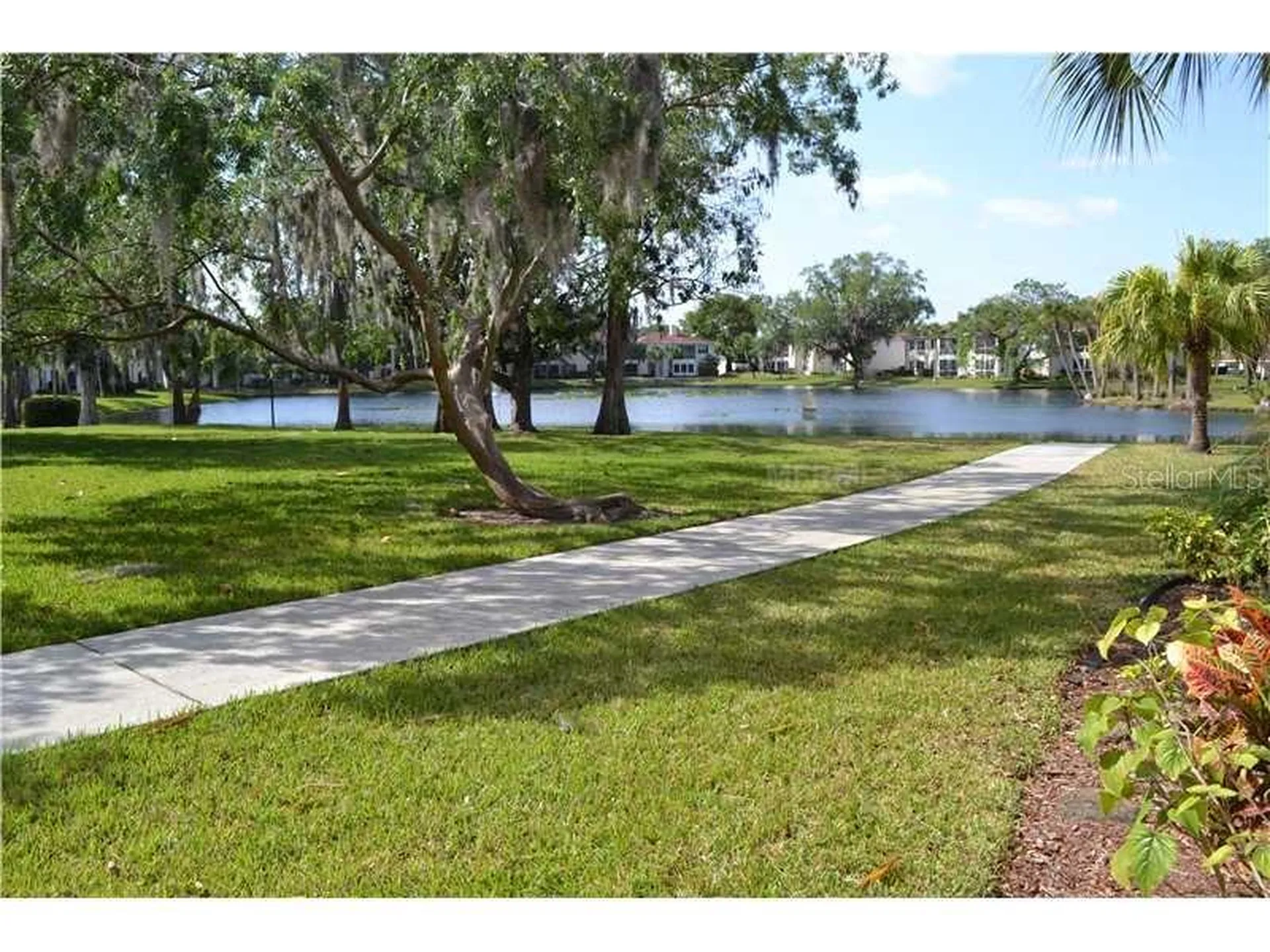 10380 Carrollwood Lane Tampa FL 33618