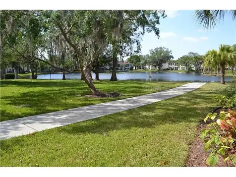 10380 Carrollwood Lane Tampa FL 33618