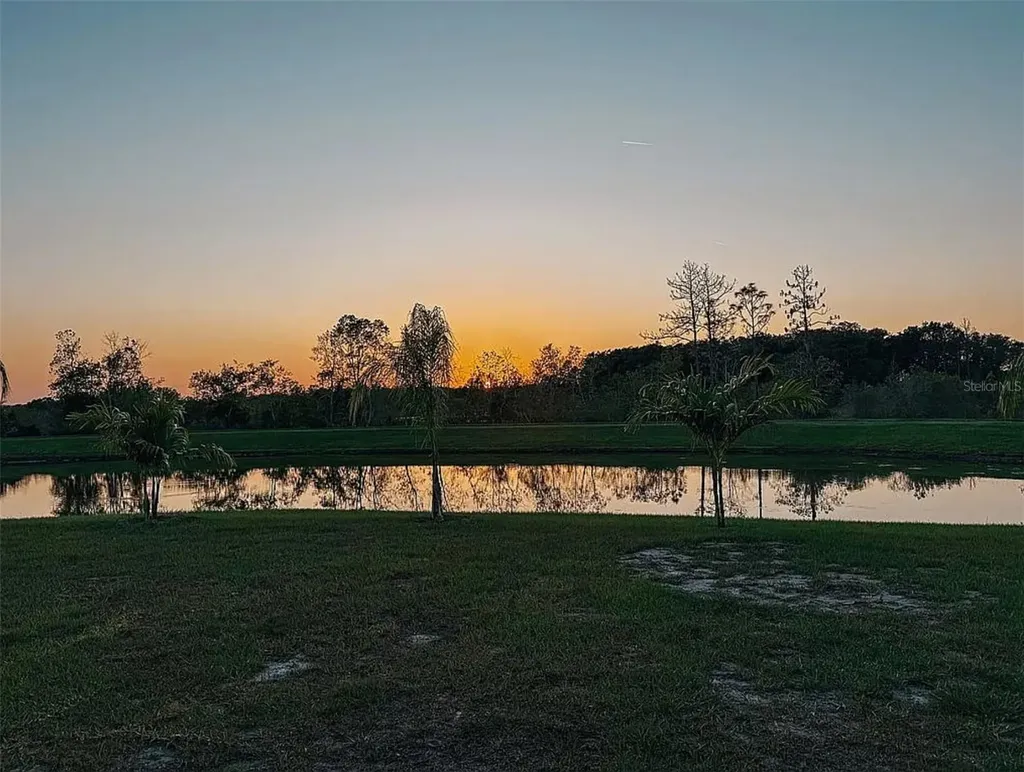 22034 Storybook Cabin Way Land O Lakes FL 34637