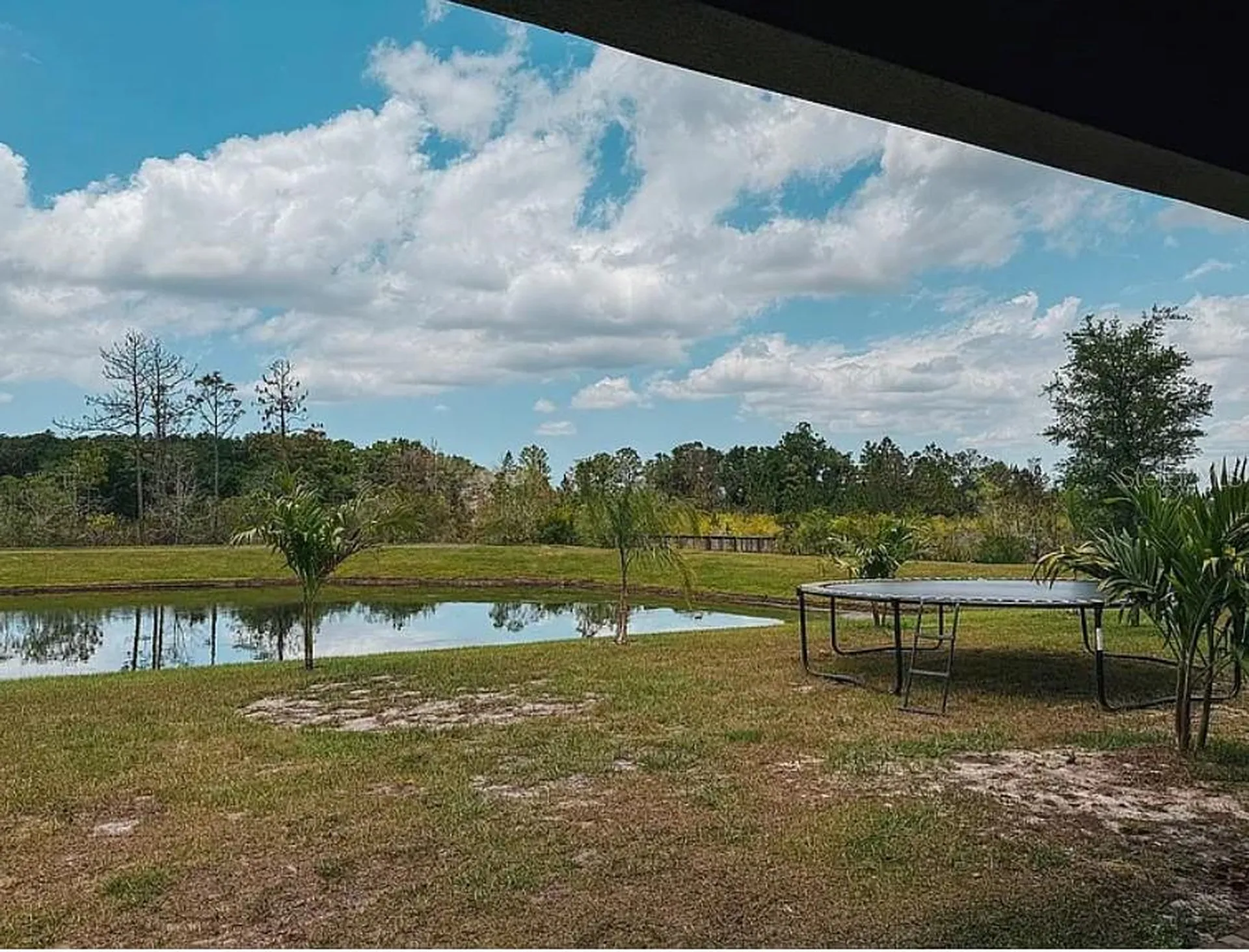 22034 Storybook Cabin Way Land O Lakes FL 34637