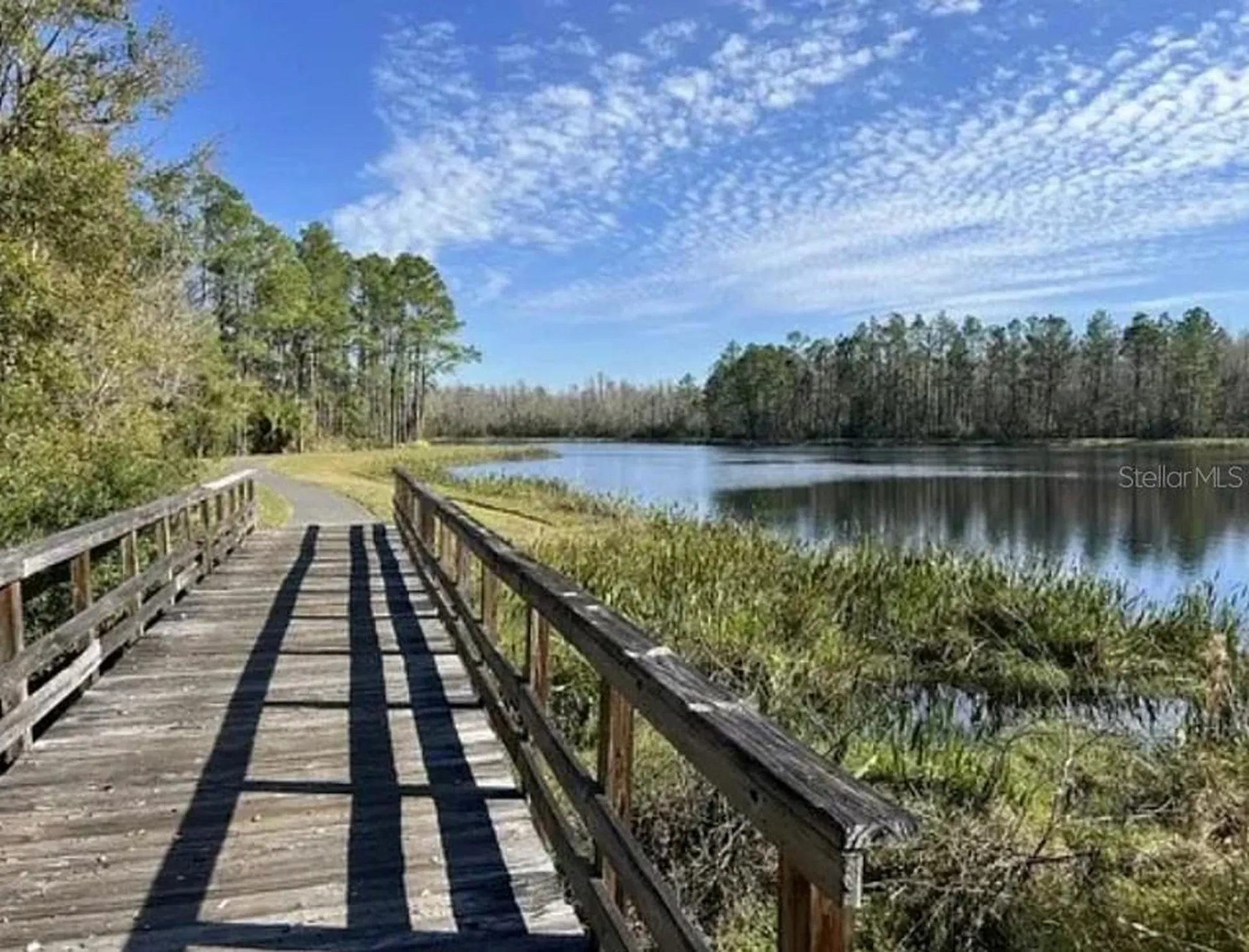 22034 Storybook Cabin Way Land O Lakes FL 34637
