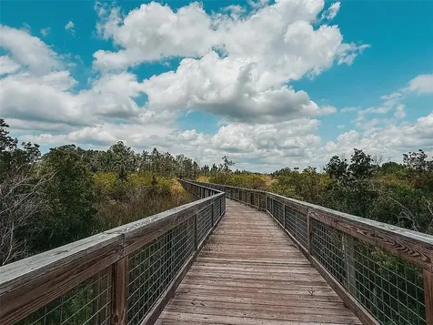 22034 Storybook Cabin Way Land O Lakes FL 34637