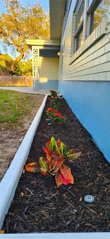 1105 Connecticut Road Tarpon Springs FL 34689