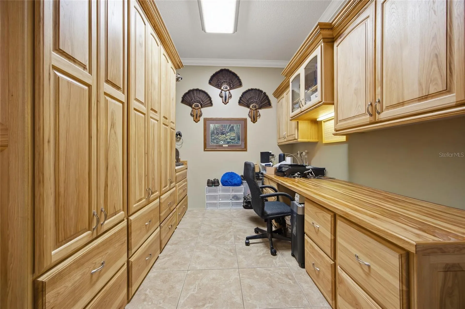 10645 Parkway Drive Clermont FL 34711