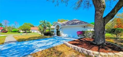 3 Saw Mill Court Palm Coast FL 32164