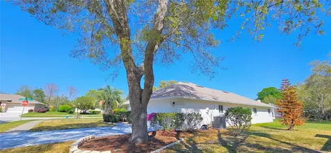 3 Saw Mill Court Palm Coast FL 32164