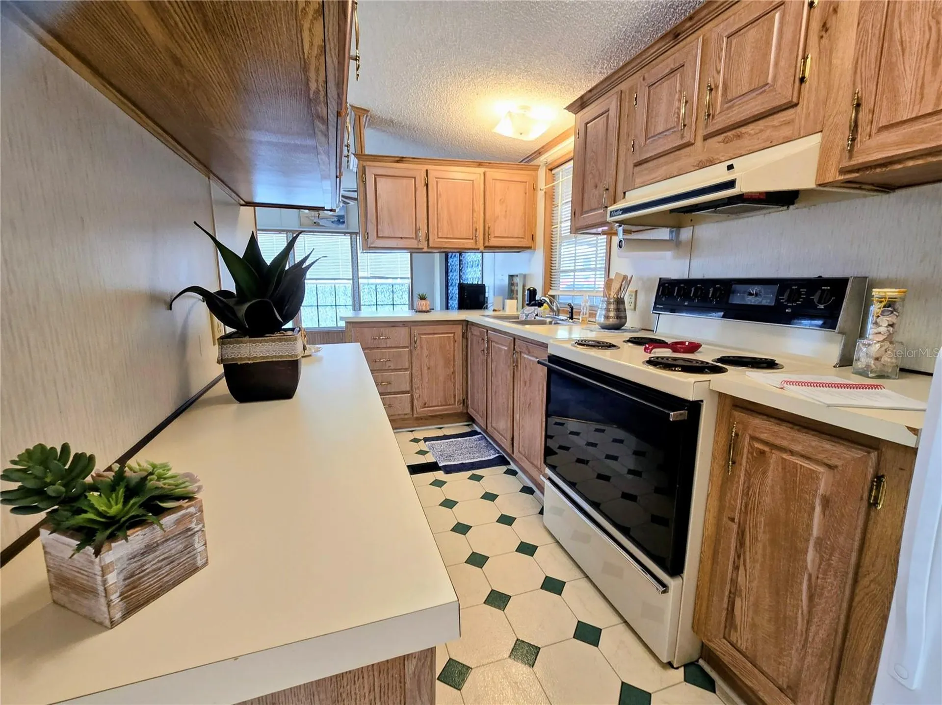 39326 Recess Drive Zephyrhills FL 33542