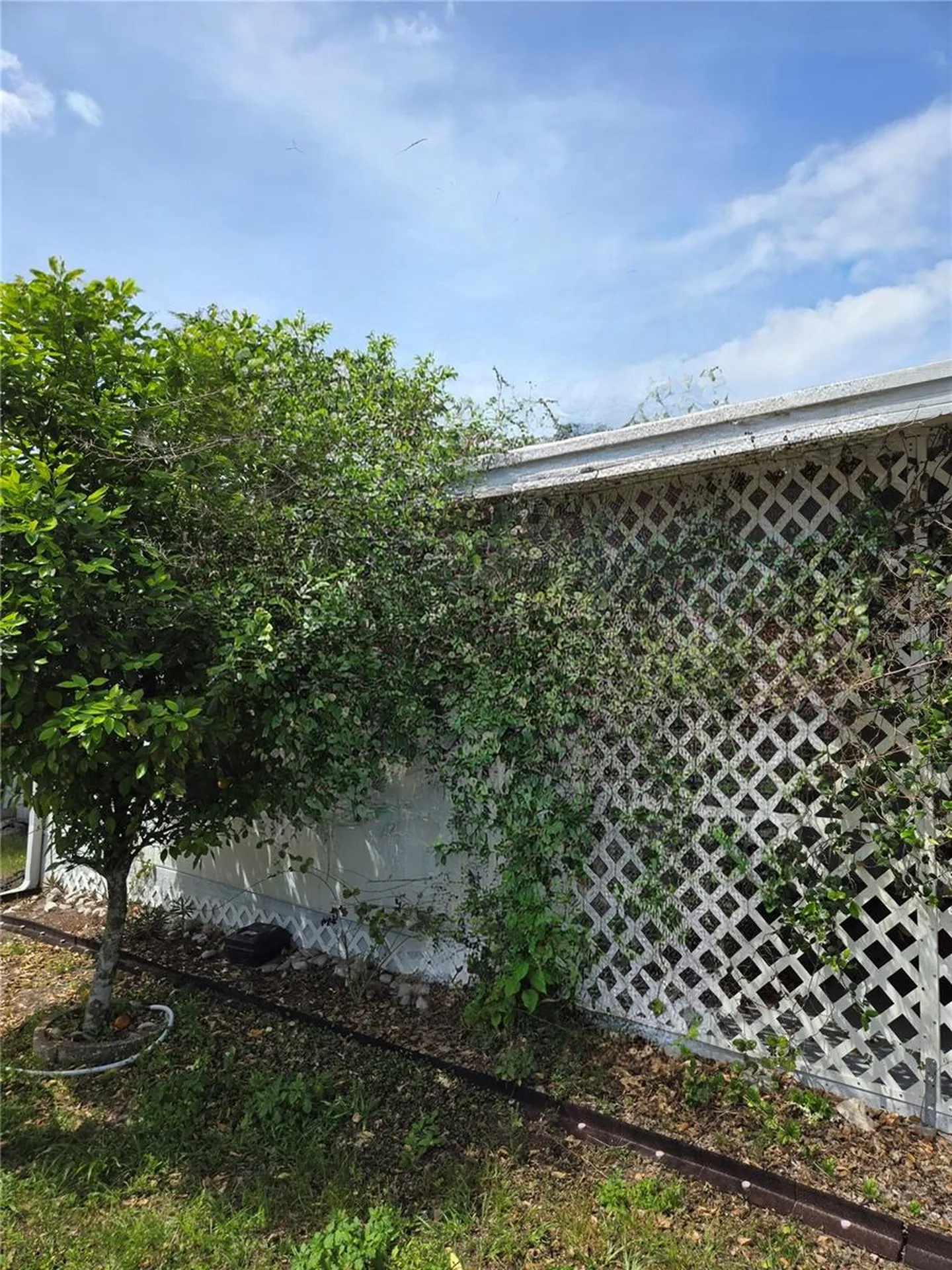 39326 Recess Drive Zephyrhills FL 33542