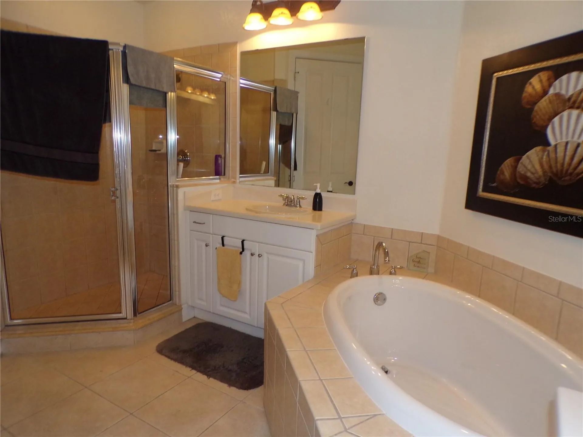 98 Vivante Boulevard Punta Gorda FL 33950