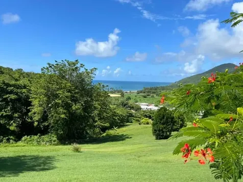 901 Amazing View House Maunabo PR 00707