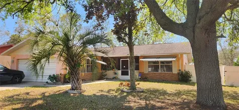 29 Oak Loop Ocala FL 34472
