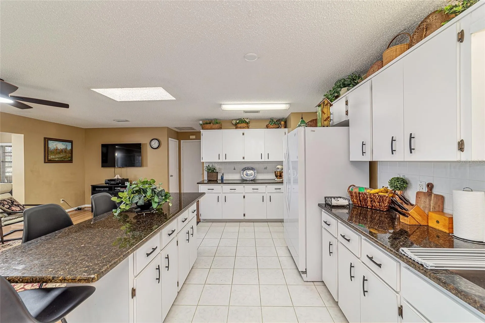 8819 SW 91st Place Ocala FL 34481