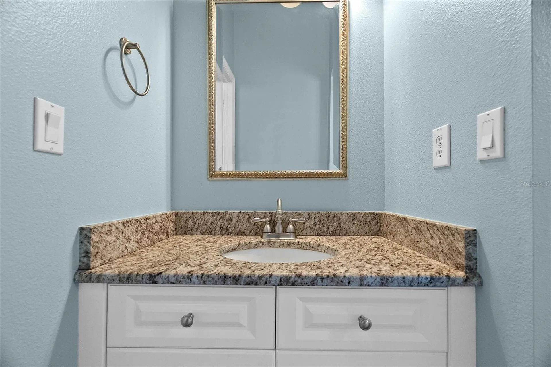 22810 Collridge Drive Land O Lakes FL 34639