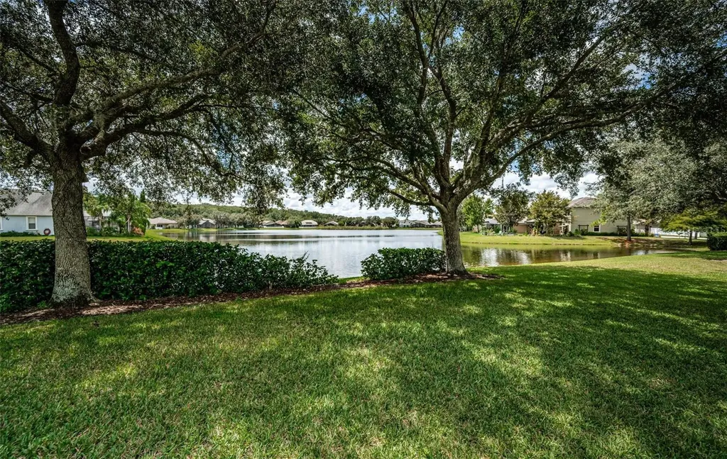 15727 Cedar Elm Terrace Land O Lakes FL 34638