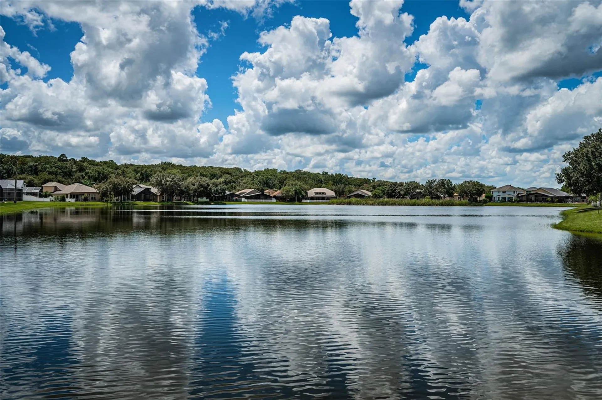 15727 Cedar Elm Terrace Land O Lakes FL 34638