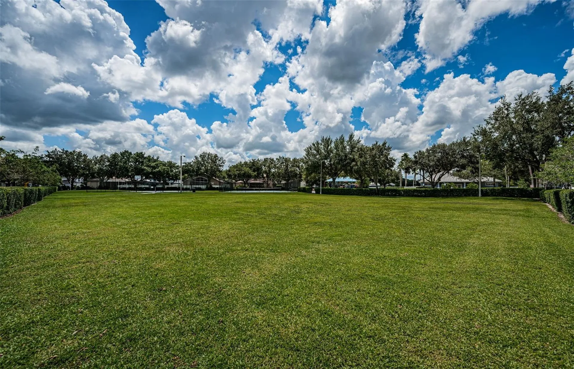 15727 Cedar Elm Terrace Land O Lakes FL 34638