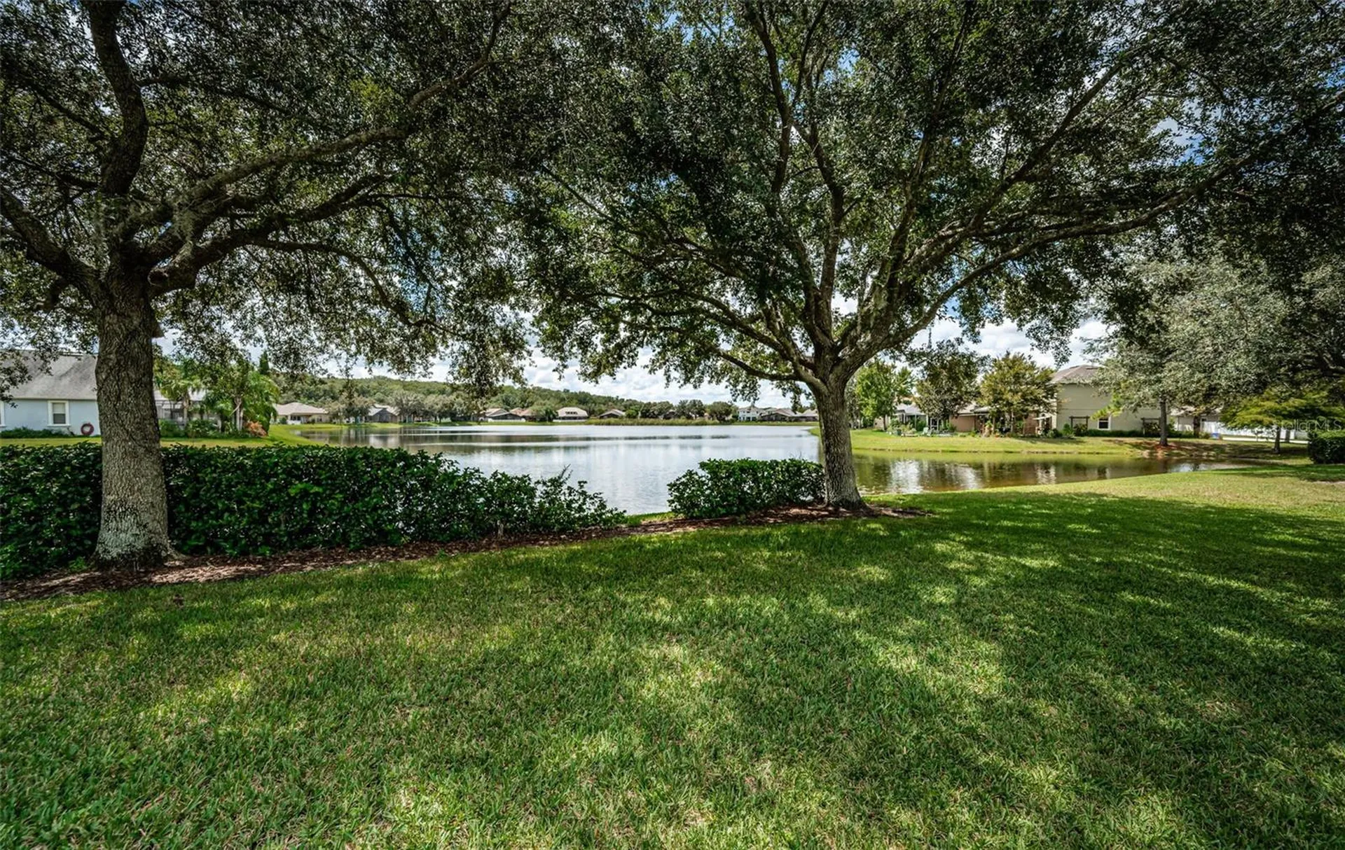 15727 Cedar Elm Terrace Land O Lakes FL 34638