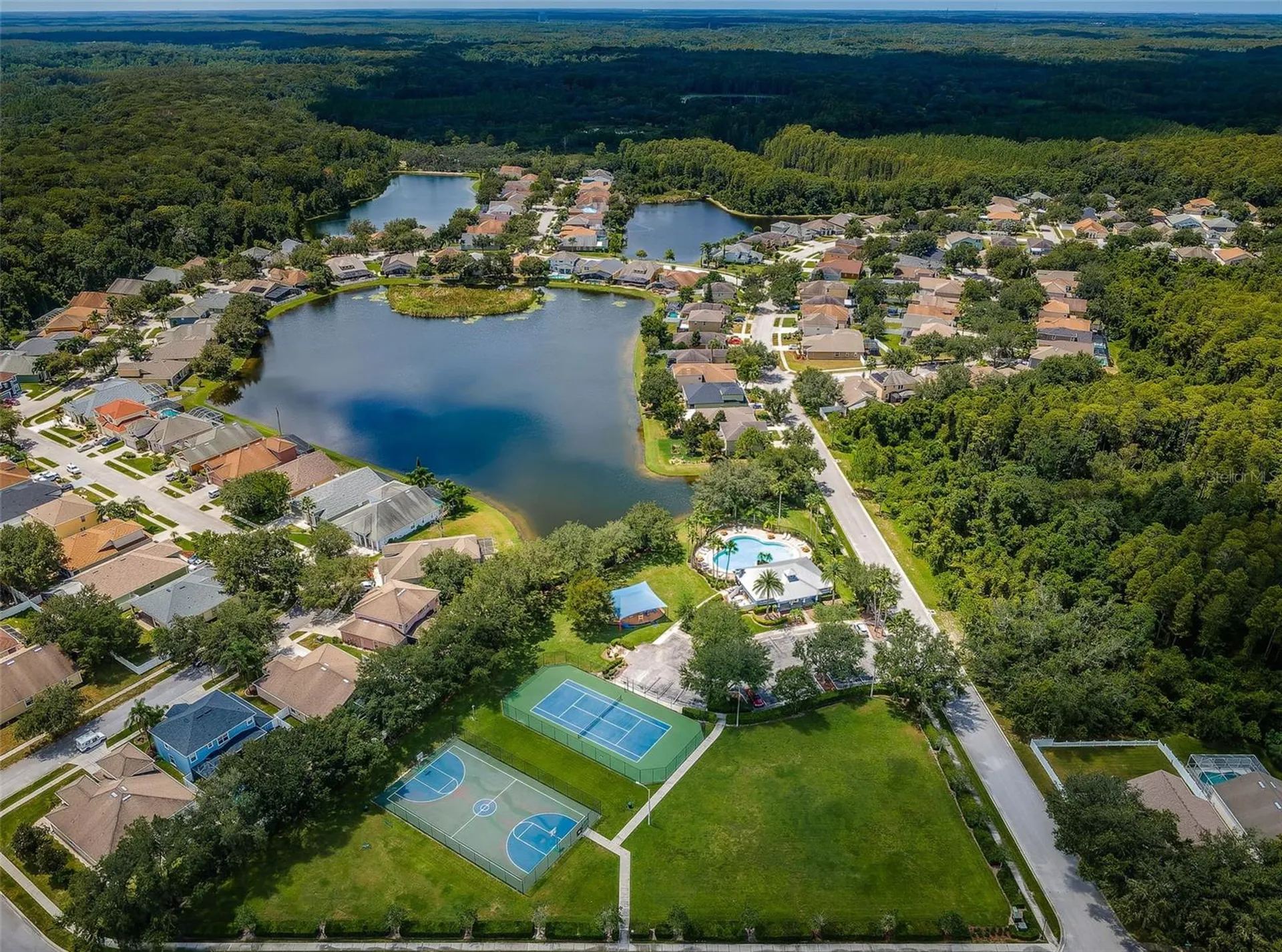 15727 Cedar Elm Terrace Land O Lakes FL 34638