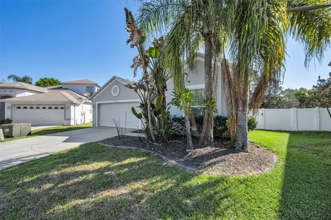 15727 Cedar Elm Terrace Land O Lakes FL 34638