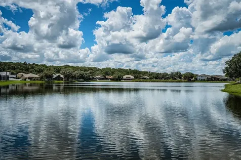 15727 Cedar Elm Terrace Land O Lakes FL 34638