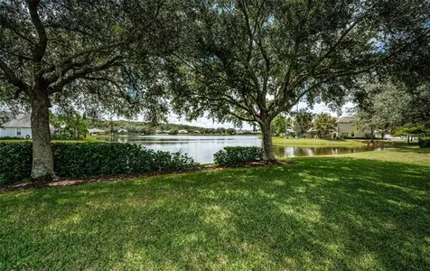 15727 Cedar Elm Terrace Land O Lakes FL 34638