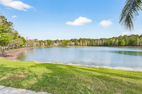 14236 Oasis Cove Boulevard Windermere FL 34786