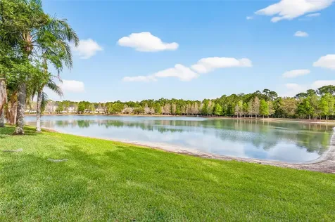 14236 Oasis Cove Boulevard Windermere FL 34786