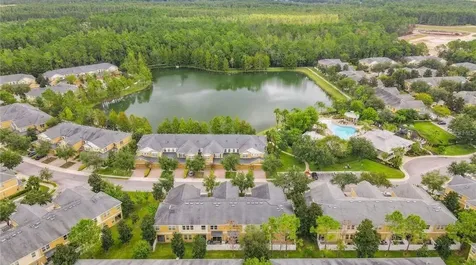 14236 Oasis Cove Boulevard Windermere FL 34786