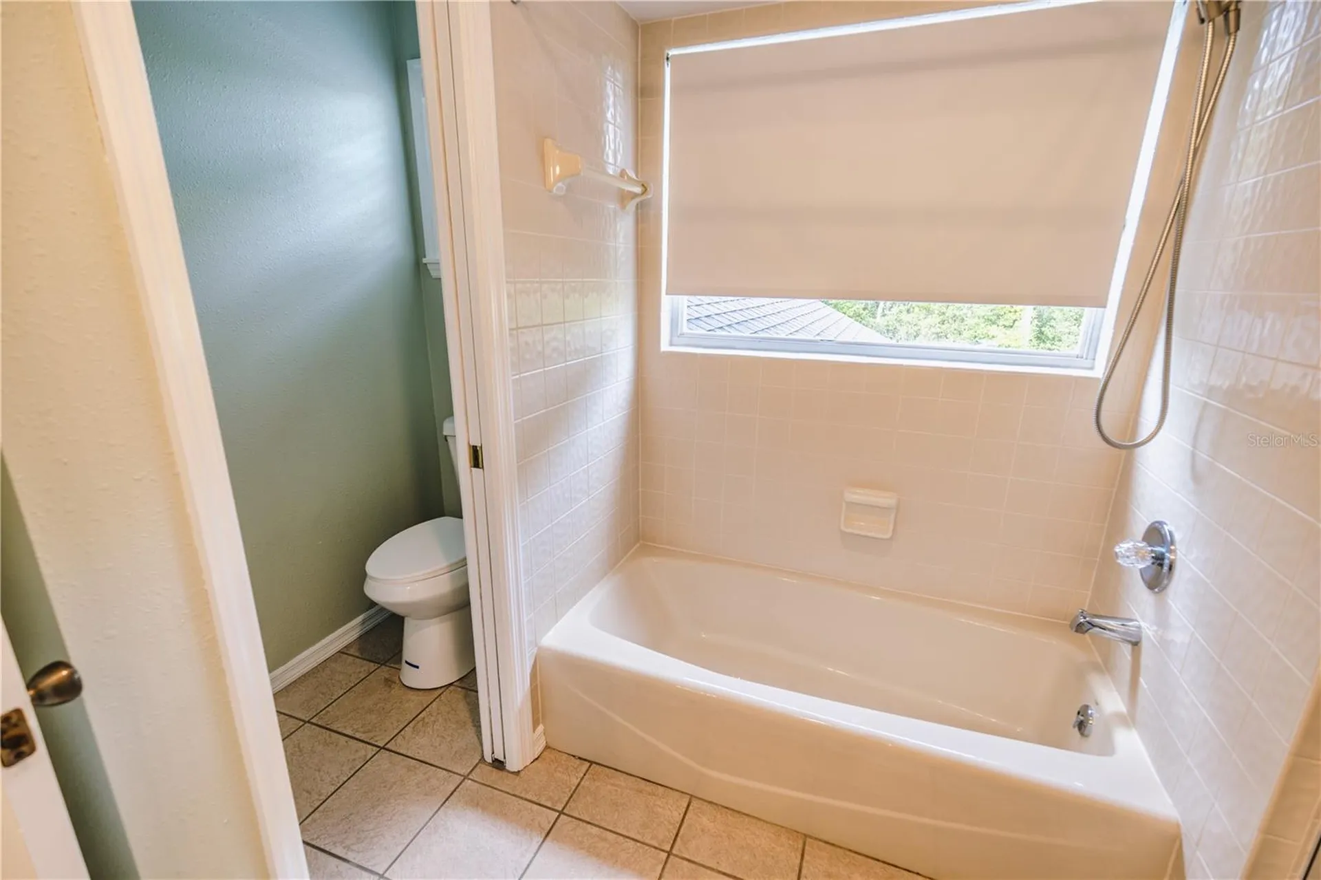 2119 Shady Oaks Drive Valrico FL 33594