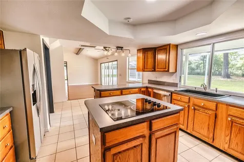2119 Shady Oaks Drive Valrico FL 33594