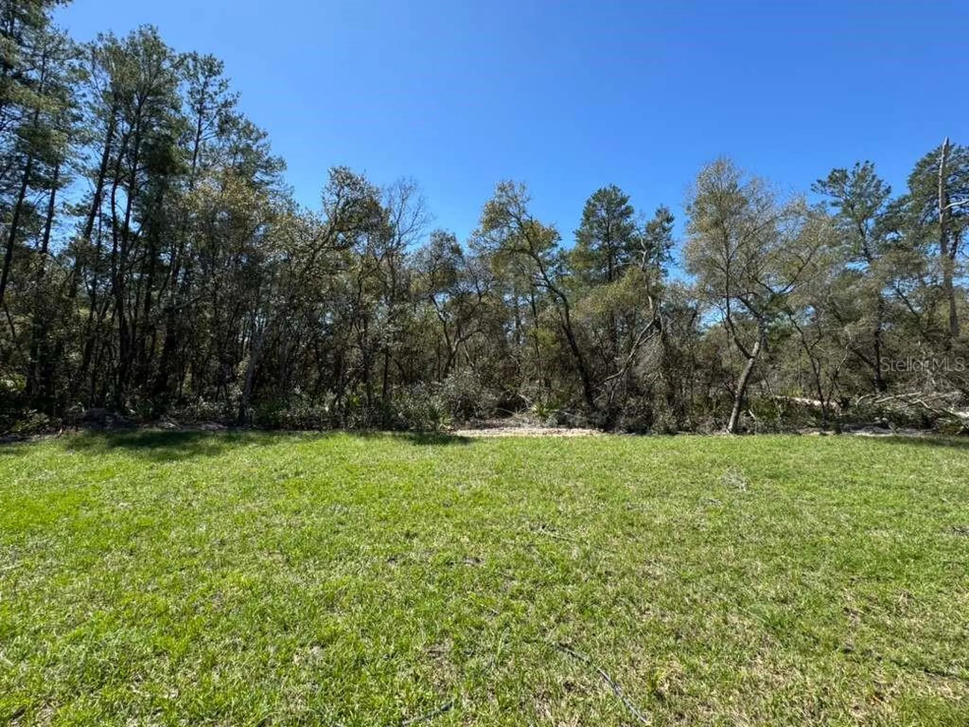 16090 SW 35th Court Road Ocala FL 34473