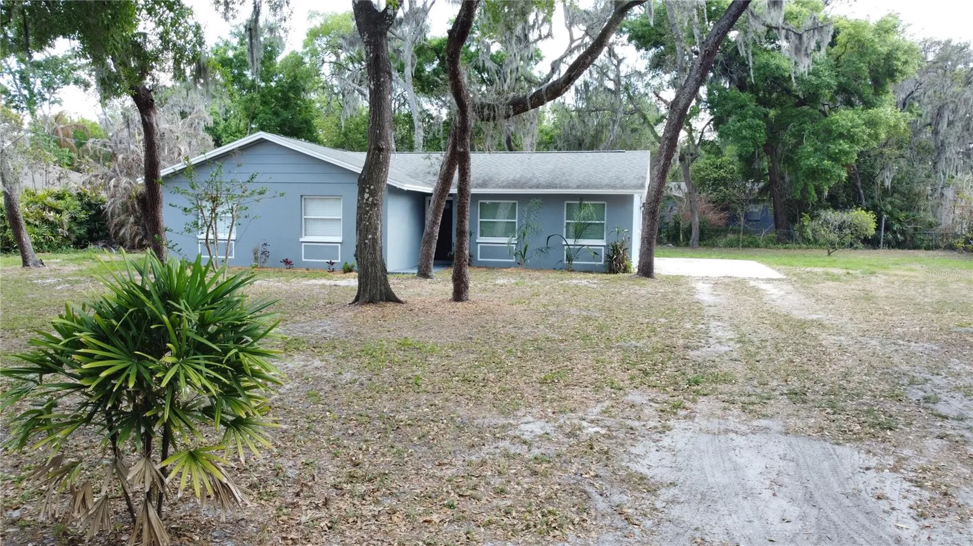 12022 Riverhills Drive Tampa FL 33617
