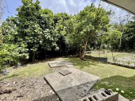Carr 3 Parc 13 Bo Daguao Naguabo PR 00718