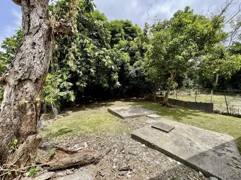 Carr 3 Parc 13 Bo Daguao Naguabo PR 00718