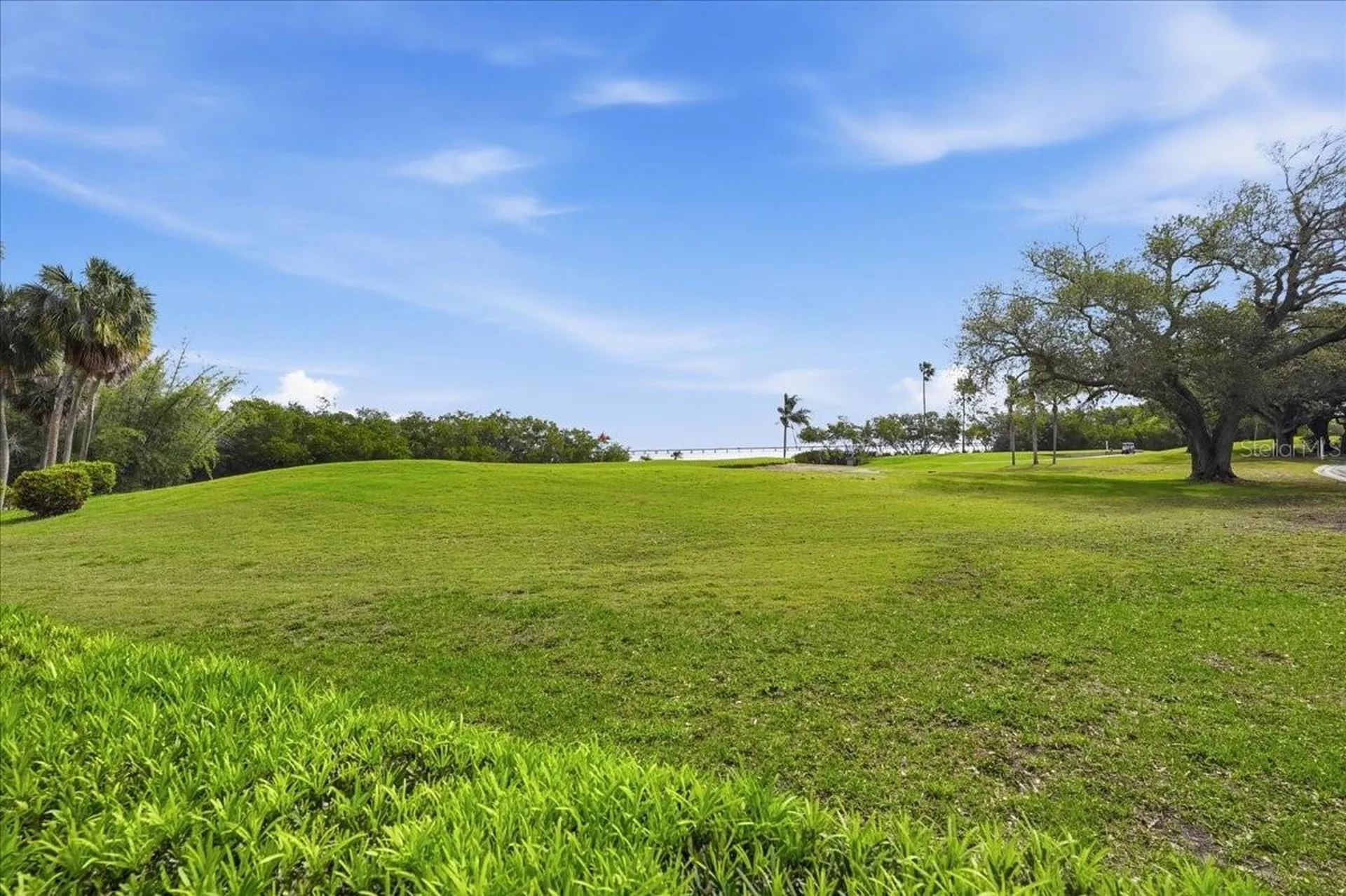 2616 Cove Cay Drive Clearwater FL 33760