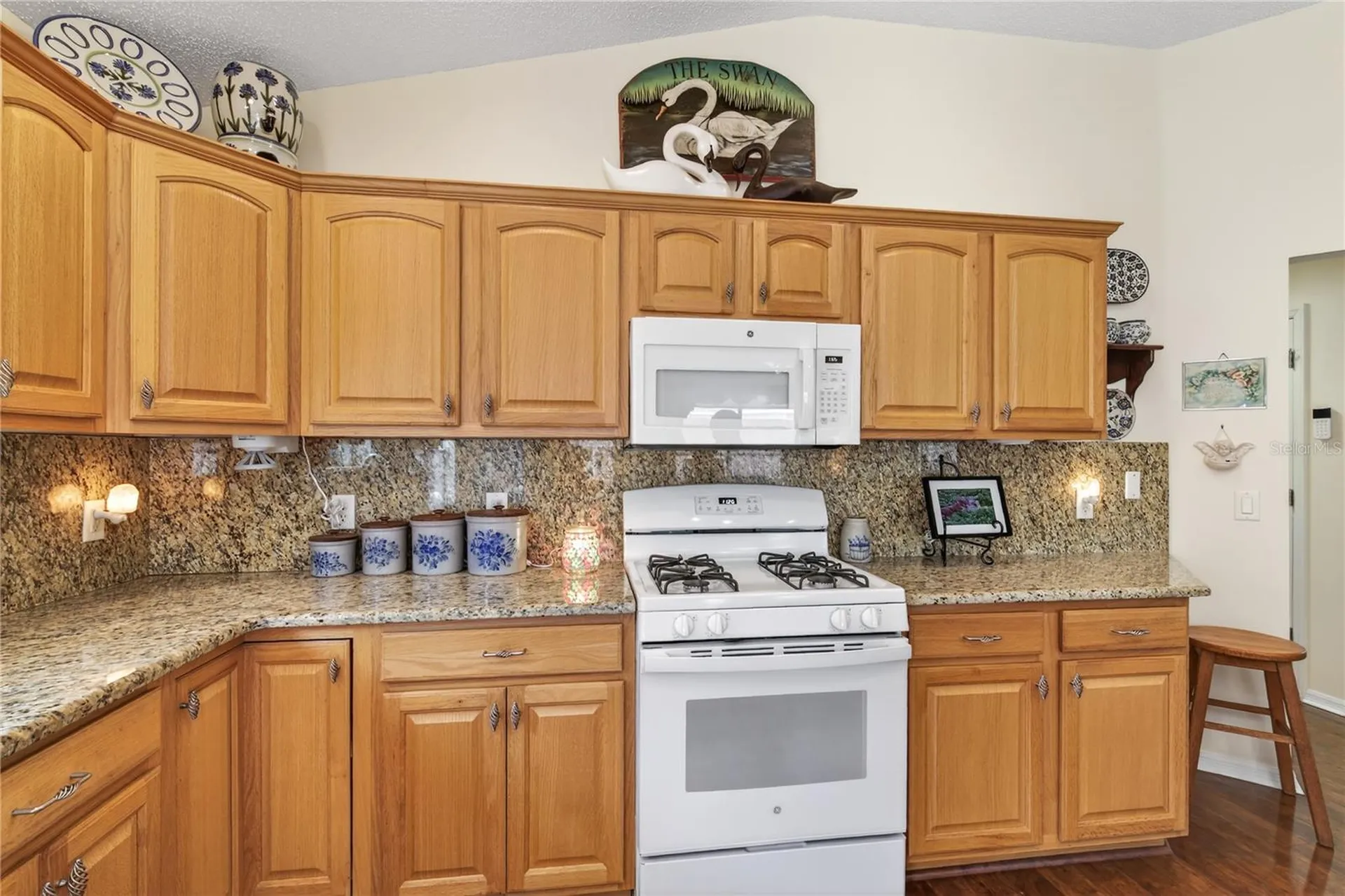 1147 Elizabeth Court The Villages FL 32162