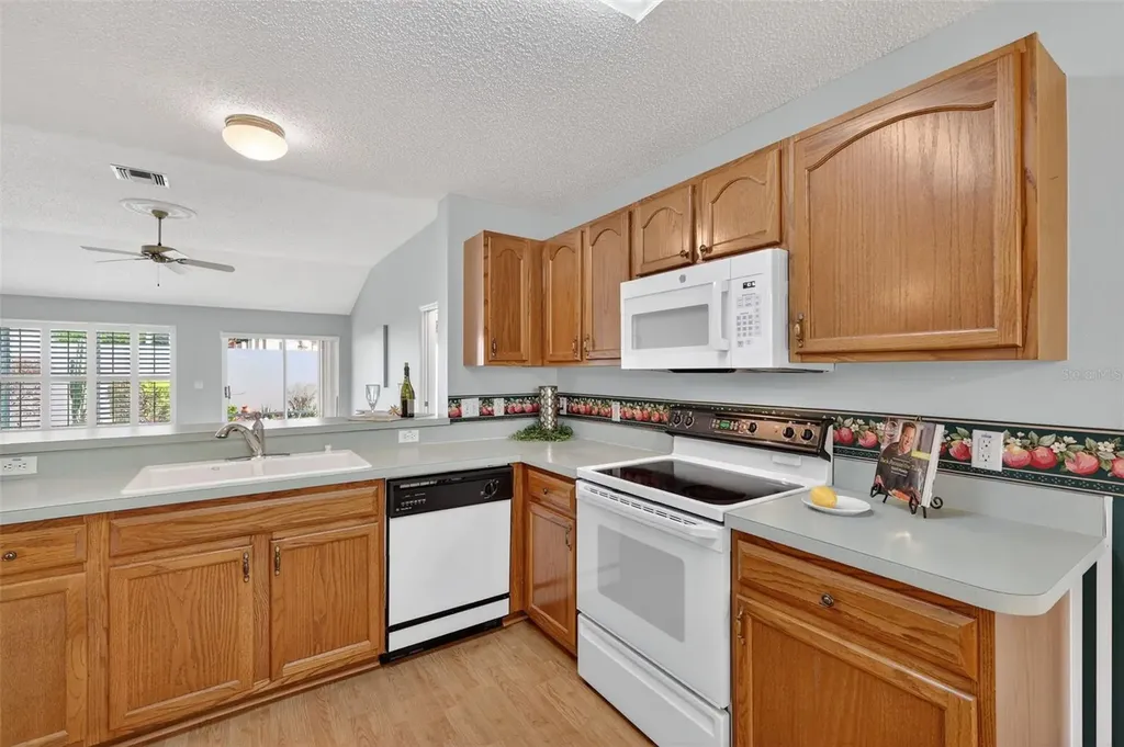 1712 Carrera Drive The Villages FL 32159