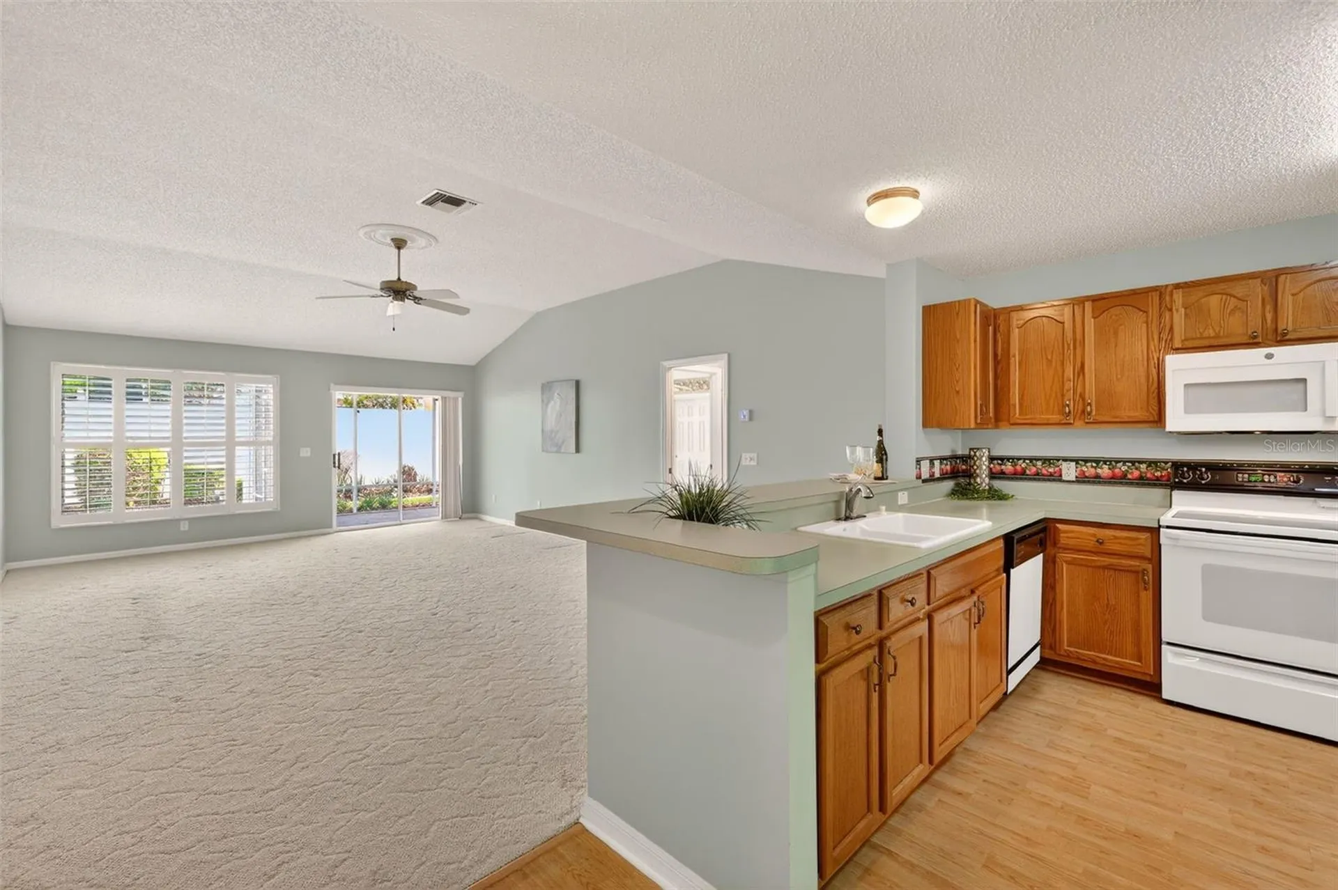 1712 Carrera Drive The Villages FL 32159