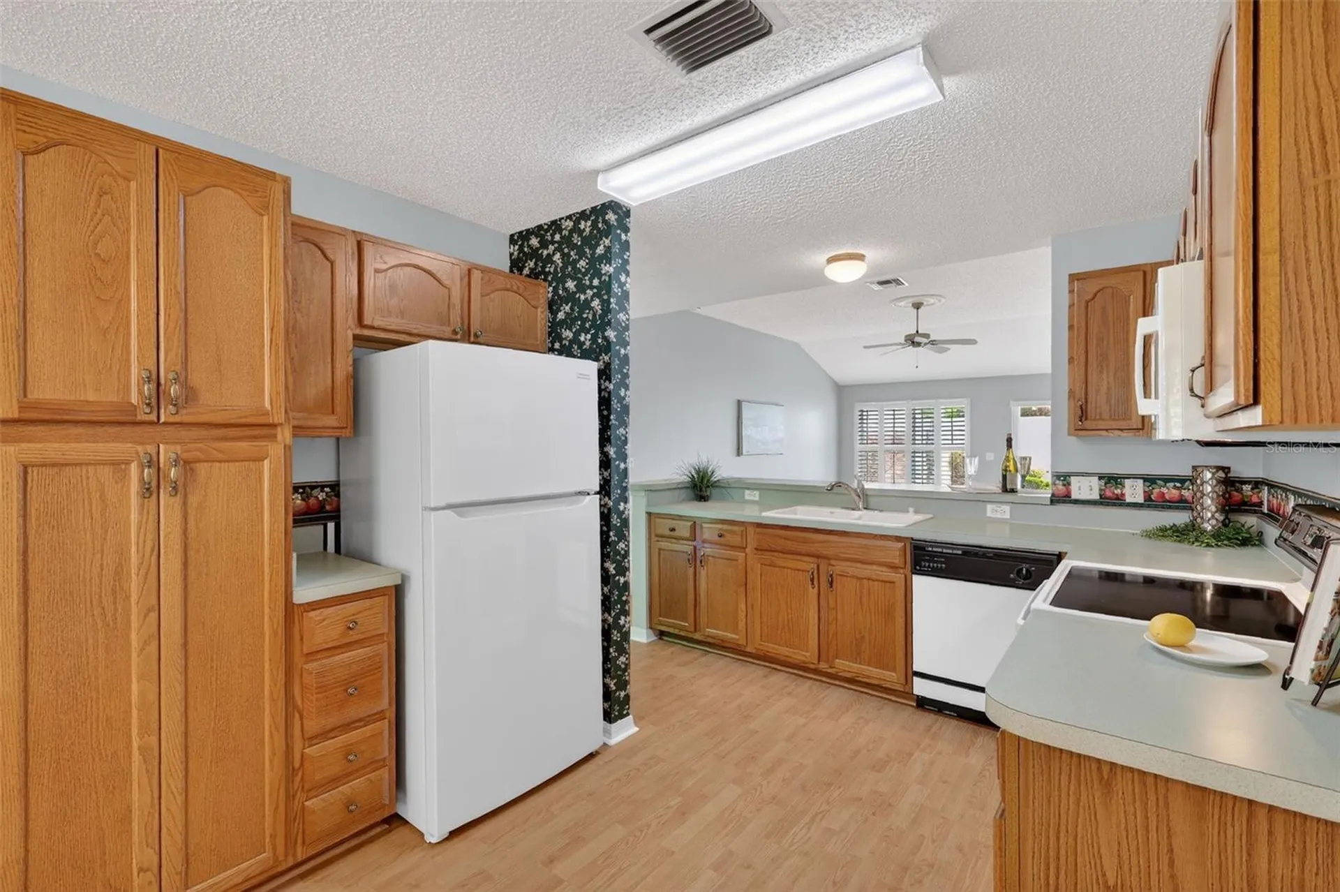 1712 Carrera Drive The Villages FL 32159