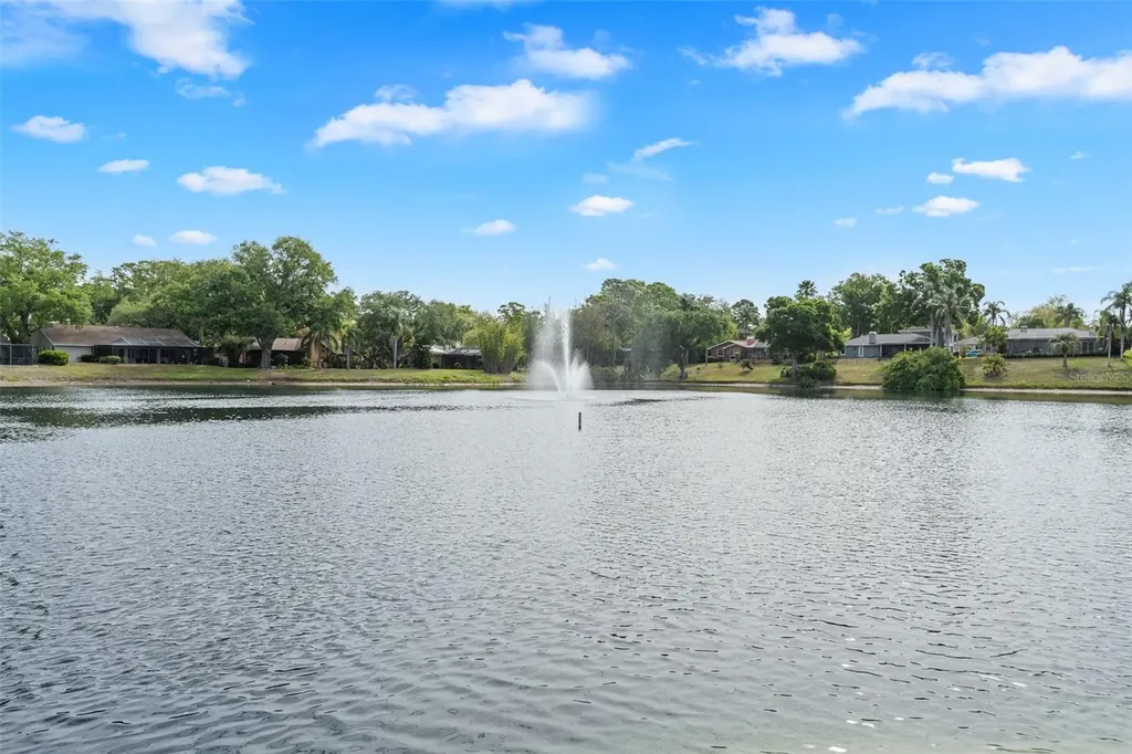 4829 Parson Brown Lane Palm Harbor FL 34684