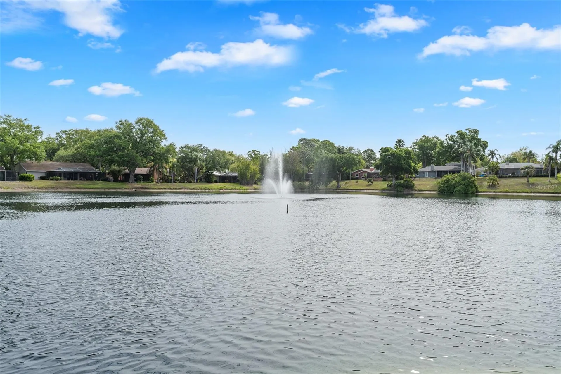 4829 Parson Brown Lane Palm Harbor FL 34684